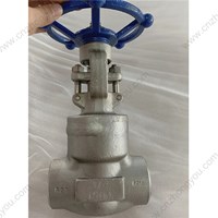 F316  Welded bonnet  gate valve 3/4'' 1500LB