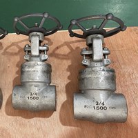 F316  Welded bonnet  gate valve 3/4'' 1500LB