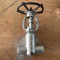 ASTM A182 F321 gate valve 1'' 1500LB