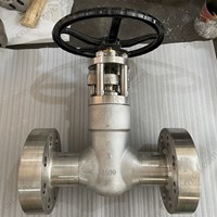 Incoloy 825  globe  valve 3'' 2500LB