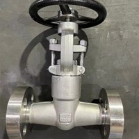 ASTM A182 F316L  globe  valve 1'' 2500LB