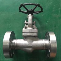 ASTM A182 F316L  globe  valve 2'' 1500LB