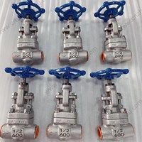 ASTM A182 F316L  globe  valve 1/2'' 600LB