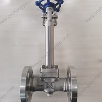 ASTM A182 F316 Extended Stem globe  valve 3/4'' 300LB