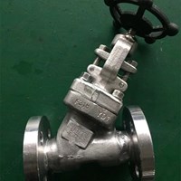 ASTM A182 F316  Y pattern globe  valve DN15 PN40