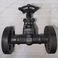 A105  globe  valve 1/2'' 900LB