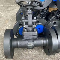 A105  globe  valve DN25 PN63