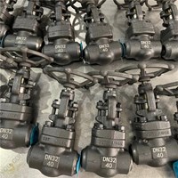 A105  globe  valve DN32 PN40