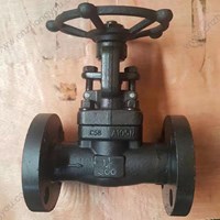 A105  globe  valve 1.25'' 300LB