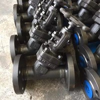 A105 Y pattern  globe  valve DN25 PN16