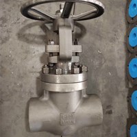 A105 globe  valve 4'' 800LB