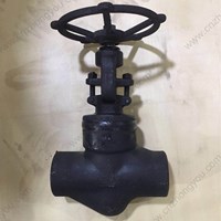 A105 globe  valve 2'' 1500LB