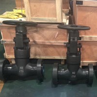 A105 globe  valve DN80 PN250