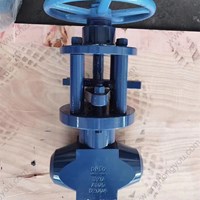 A105 globe  valve DN50 PN320