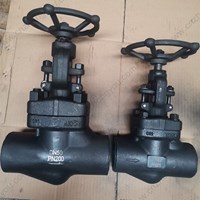 A105 globe  valve DN50 PN200