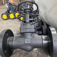 A105 globe  valve DN50 PN64