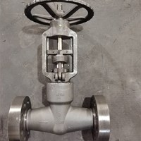 A105 globe  valve 2'' 2500LB