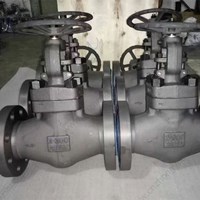 A105 globe  valve 3'' 300LB