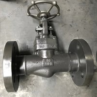 A105 globe  valve DN50 PN100