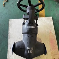 A105 globe  valve DN100 PN640