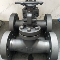 A105 globe  valve 2'' 300LB