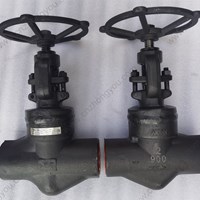 A105  globe  valve 2'' 900LB