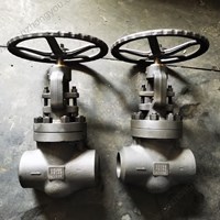 A105 globe  valve DN100 PN160