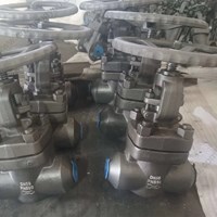 ASTM A182 F11 globe  valve DN50 PN500