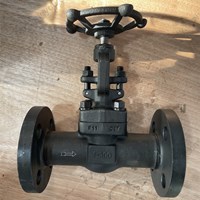 ASTM A182 F11 globe  valve 1'' 300LB