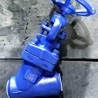 ASTM A182 F11 Y pattern  globe valve DN40 PN100