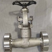 ASTM A182 F51 globe  valve  1'' 2500LB