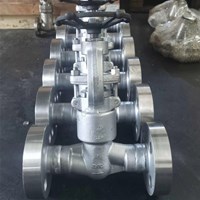 ASTM A182 F51 globe  valve  1'' 2500LB