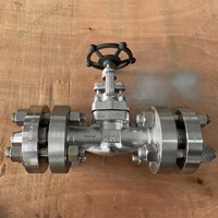 ASTM A182 F51 globe  valve  3/4'' 1500LB