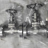 ASTM A182 F51 globe  valve  DN25 PN160