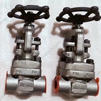 ASTM A182 F51 globe  valve  1/2'' 800LB