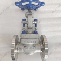 ASTM A182 F53 globe  valve  1/2'' 150LB