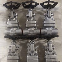 ASTM A182 F53 globe  valve  1/2'' 3000PSI