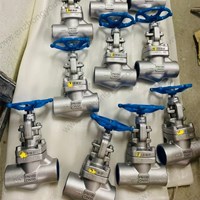 ASTM A182 F53 globe  valve  DN50 PN100