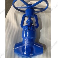 ASTM A182 F22 globe  valve  DN65  4500LB