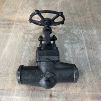 ASTM A182 F91 globe  valve  2'' 900LB