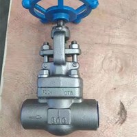 ASTM A182 F304  globe  valve 1'' 800LB