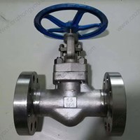 ASTM A182 F304  globe  valve DN65 PN160