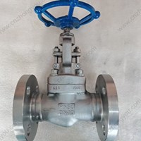 ASTM A182 F304  globe  valve DN50 PN40