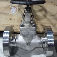 ASTM A182 F304  globe  valve DN80 PN160