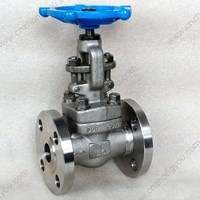 ASTM A182 F304  globe  valve 1'' 150LB