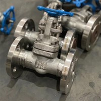 ASTM A182 F304  globe  valve DN20 PN40