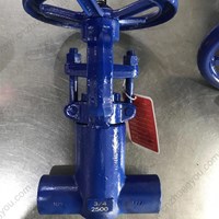 ASTM A182 F22  gate valve 0.75'' 2500LB