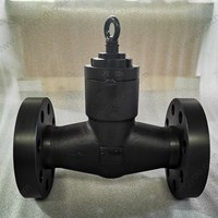 Forge LF2  Check Valve  2'' 1500LB