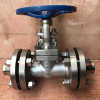 Ti gate valve 1.5'' 300LB