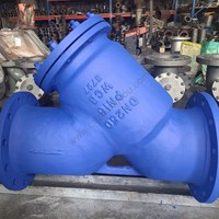 ASTM A216 WCB Y  strainer DN250 PN16